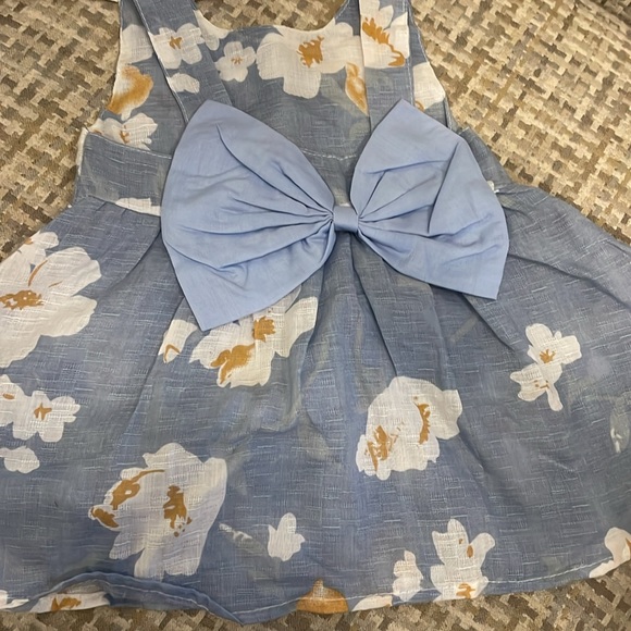 ❤️5/$20 Baby girl dress and hat - Picture 4 of 4